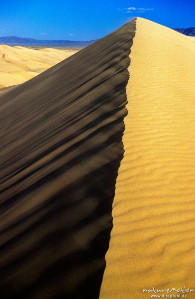 scharfer Grat einer Wanderdüne im plastischen Abendlicht, Sandrippel, wehender Sand, Chongorin Els, Mongolei