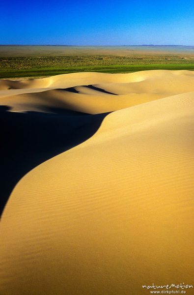 Dünenband von Chongorin Els vor einem Streifen grün bewachsener Wüste, Chongorin Els, Mongolei