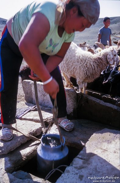 Frau am Ziehbrunnen, Tränken einer Ziegenherde, Wüste Gobi, Mongolei