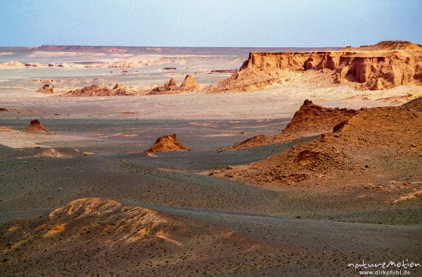 rote Sandsteinklippen inmitten flacher Wüste, Bayanzag, Mongolei