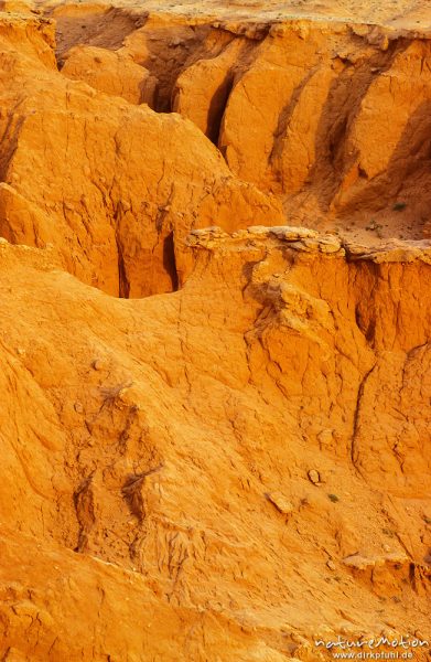 erodierte Sandsteinklippen, Bayanzag, Mongolei