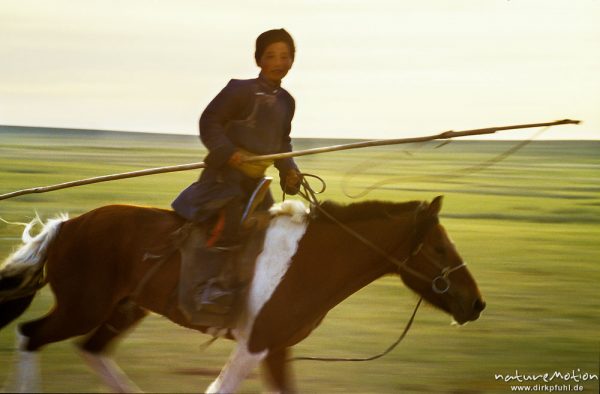 reitender Junge mit Urga, Holzstab mit Schlinge, Wüste Gobi, Mongolei
