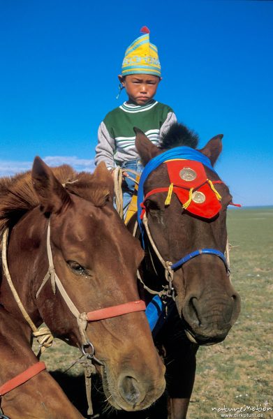 junger Reiter mit seinen Rennpferden, Gewinner eines Pferderennens beim Naadam, Wüste Gobi, Mongolei