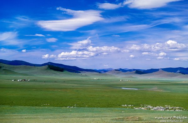 Steppe mit verstreuten Jurten, typische Landschaft, Changai, Mongolei