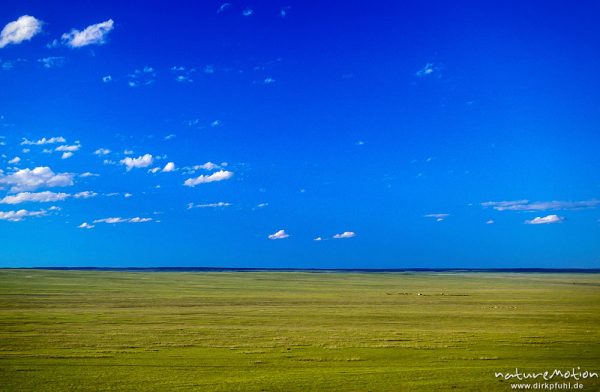 ebene Steppe und blauer Himmel, Übergangszone zur Gobi, weites Land, ,