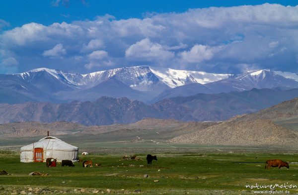 Jurte vor schneebedeckten Bergen, Altai - Gebirge, Mongolei