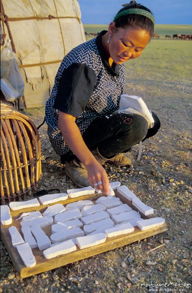 Frau beim schneiden und trocknen von Aaruul, Gobi, Wüste Gobi, Mongolei