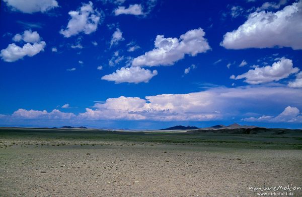 Steppe, trockene Zone, Hügelketten am Horizont, blauer Himmel, Übergangszone zur Gobi, Altai - Gebirge, Mongolei