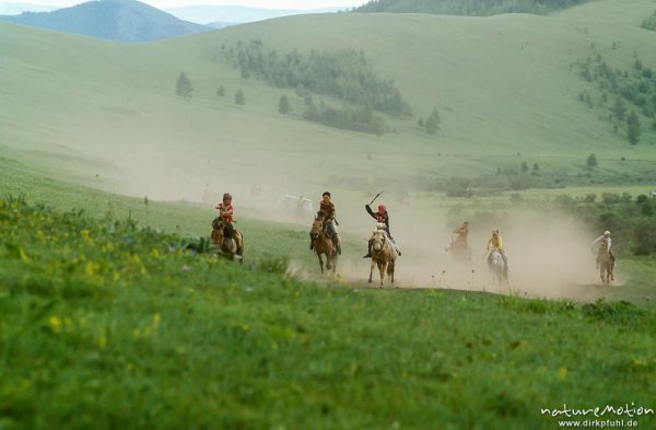 Pferderennen, Gruppe jagd über die Steppe, , Mongolei