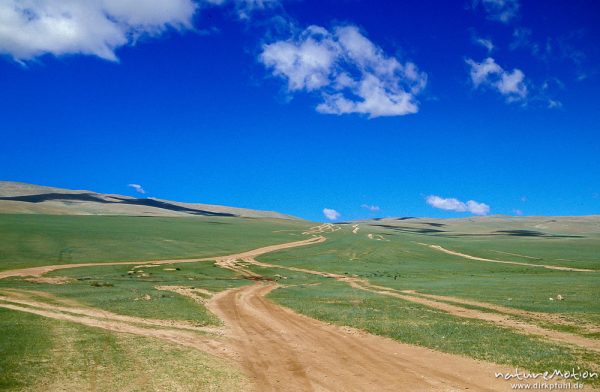 Pisten durch die Steppe, typische Strassen in der Mongolei, Changai, Mongolei