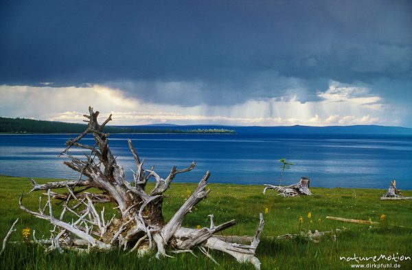 Regenwolken über dem See, Ufer mit Holzgerippe, ,