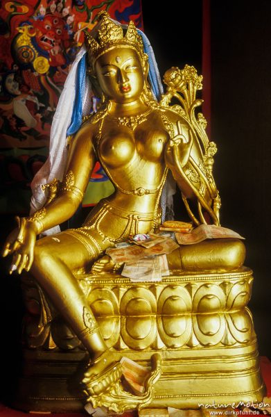 goldene Statur einer Göttin, Geldopfer, Klosterruine Zuunmod, ,