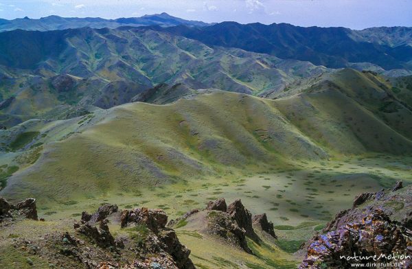Gurwan Saichan Berge nahe Jolyn Am Schlucht (Geier-Schlucht), gerippelte, grünbewachsene Bergrücken, Erosion, Wüste Gobi, Mongolei