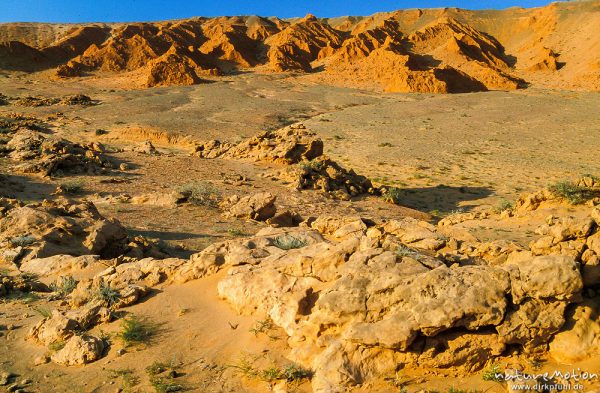 Bayanzag, rote Sandsteinfelsen, Blick auf die Klippen und härteren Fels davor, Marslandschaft, Gesamtansicht, Bayanzag, Mongolei