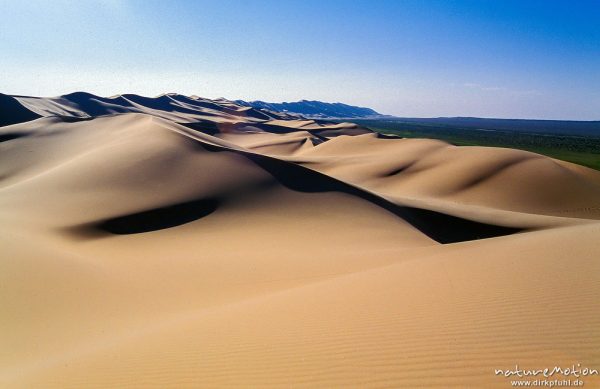 Chongorin Els, Singender Sand, Wanderdünen, Gesamtansicht vom Dünenkamm aus, Chongorin Els, Mongolei