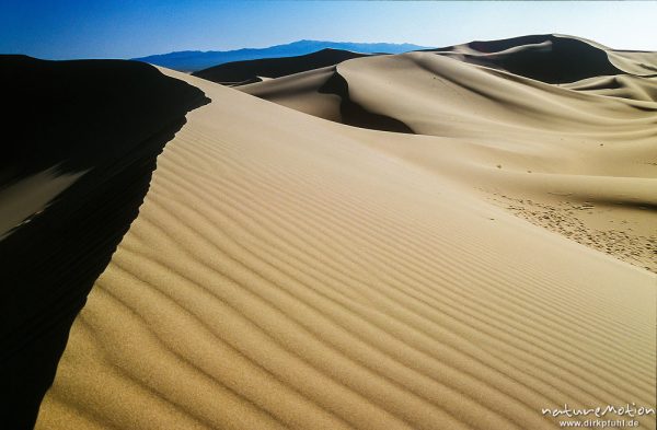 Dünenkamm, Chongorin Els, Singender Sand, Wanderdünen, ,