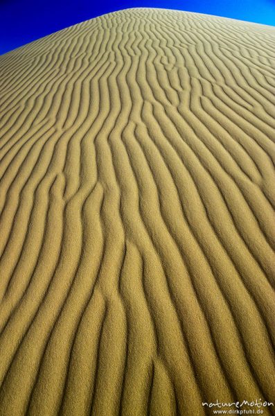 Sandrippel und blauer Himmel, Chongorin Els,  Singender Sand, grafisch sehr schönes Bild, sehr scharf, ,