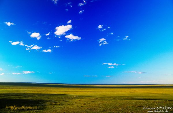 flache weite Steppe, blauer Himmel, Übergangszone zur Gobi, ,
