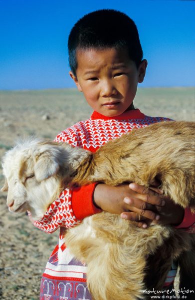 Junge hält junge Ziege im Arm, Wüste Gobi, Mongolei