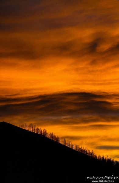 Sonnenuntergang, Bergrücken mit Lärchen vor rot-orangenem Himmel, Selenge-Orchon-Bergland, Mongolei