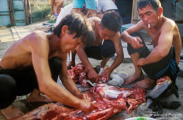 drei Männer beim Schlachten, jeder mit Zigarette, Ganas Guesthouse, Ulaanbaatar - Ulan Bator, Mongolei