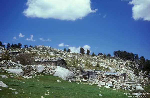 Hütten und Ställe, Bergerie de Cappelacia, Tavignano-Tal, Korsika, Frankreich