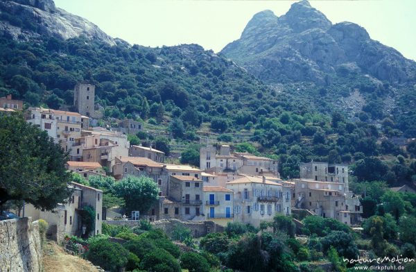Lumio, Dorf am Berghang, Korsika, Frankreich