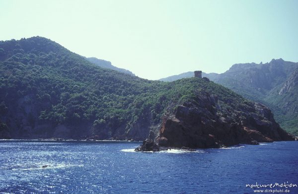 Genuesenturm vom Meer aus, Scandola, Korsika, Frankreich