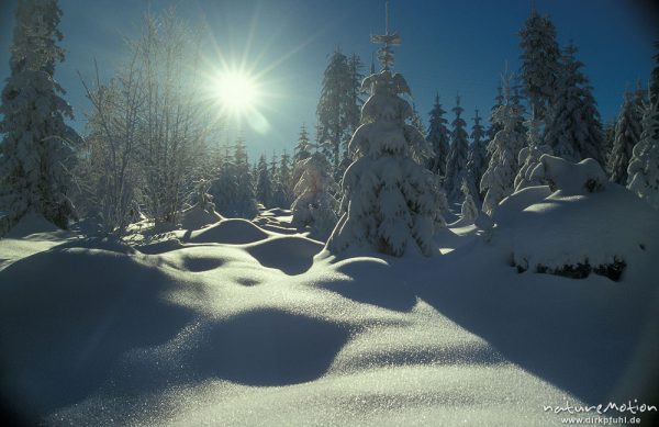 tief verschneiter Wald, Sonnenstern, Harz, Deutschland