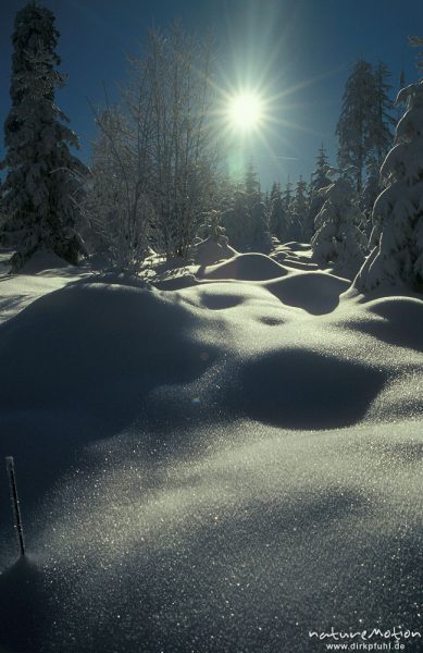 tief verschneiter Wald, Sonnenstern, Harz, Deutschland