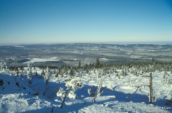 vereister Winterwald, Blick über den Harz Richtung Norden, Wolfswarte, Harz, Deutschland