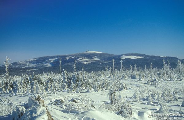 vereister Winterwald, Blick auf den Brocken, Wolfswarte, Harz, Deutschland