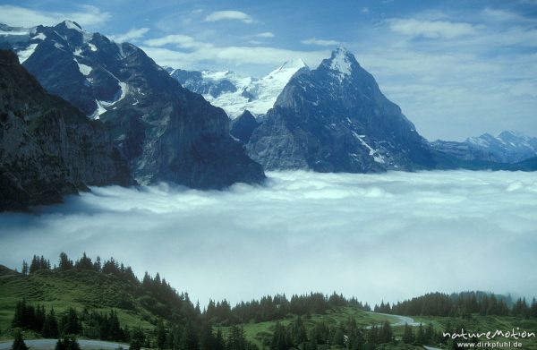 Eiger im Wolkenmeer, Alpen, Schweiz