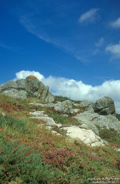 Felsen, Heide und Wolken, Bretagne, Frankreich
