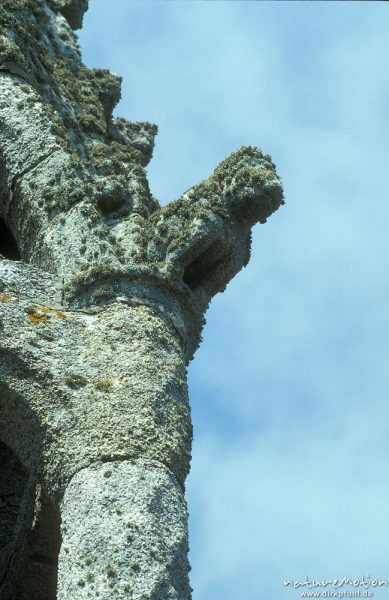 verwitterter Wasserspeier an Kirchturm, Bretagne, Frankreich