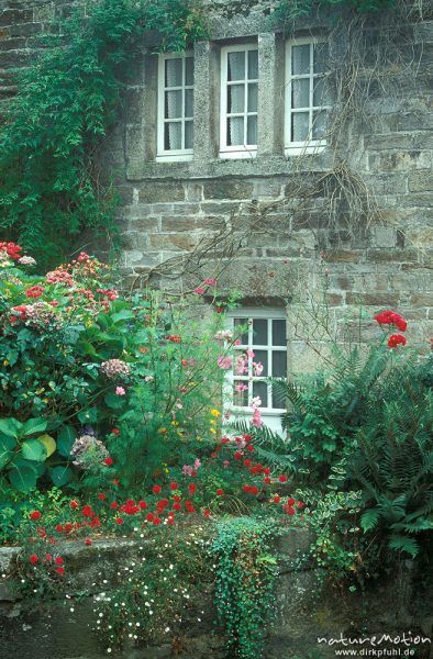 Hausfassade und Garten, Pont-Aven, Bretagne, Frankreich