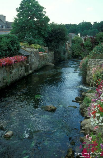 Flusslauf des Aven durch Pont-Aven, Mauern, Gärten, Bretagne, Frankreich