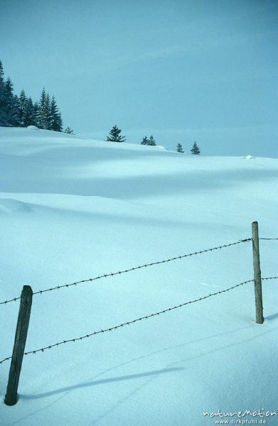Zaunpfähle im Schnee, Aschau, Chiemgau, Alpen, Deutschland