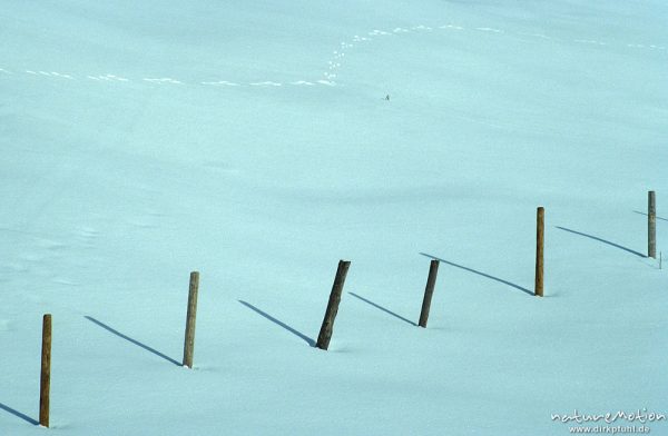Zaunpfähle werfen Schatten auf Schneefläche, Aschau, Chiemgau, Alpen, Deutschland