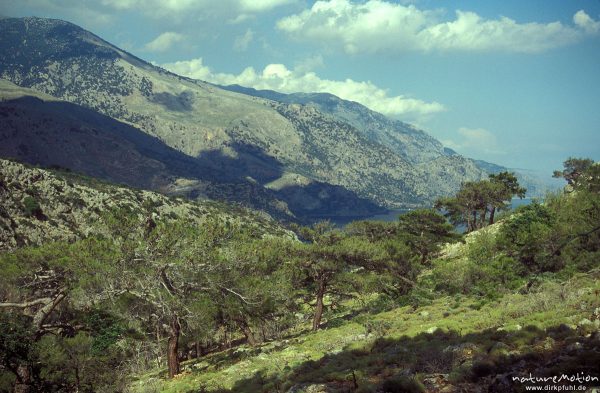 Berge an der Küste bei Sougia, Kreta, Griechenland