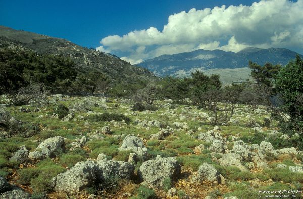felsiges Plateau, Berge an der Küste bei Sougia, Kreta, Griechenland