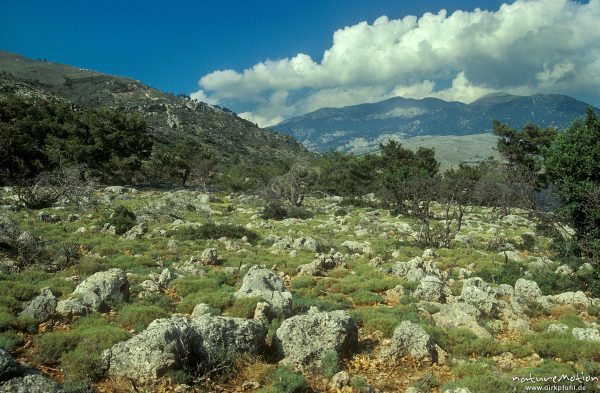felsiges Plateau, Berge an der Küste bei Sougia, Kreta, Griechenland