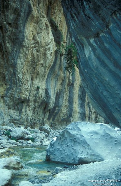 Linien im Fels, ausgewaschenes Bachbett, Einschnitt, Klamm, Sammaria-Schlucht, Kreta, Griechenland