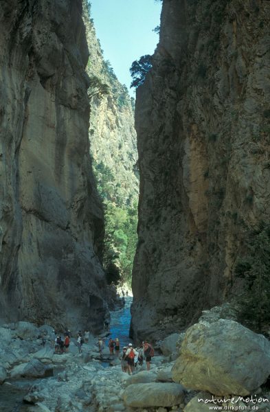 Felskerbe, Einschnitt, engste Stelle des Baches, Sammaria-Schlucht, Kreta, Griechenland