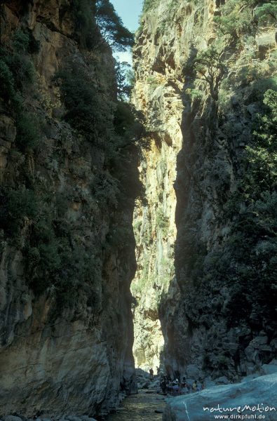 Felskerbe, Einschnitt, engste Stelle des Baches, Sammaria-Schlucht, Kreta, Griechenland