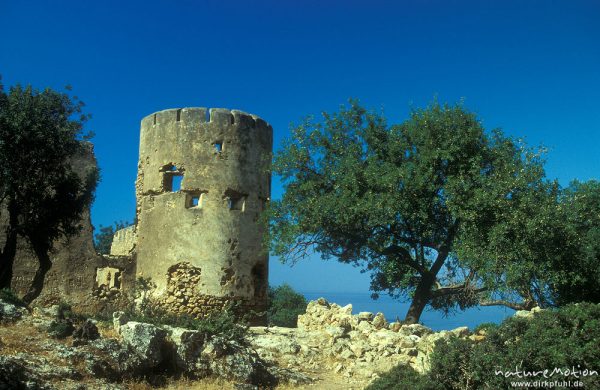 alter Trum, Küste bei Lutro, Kreta, Griechenland