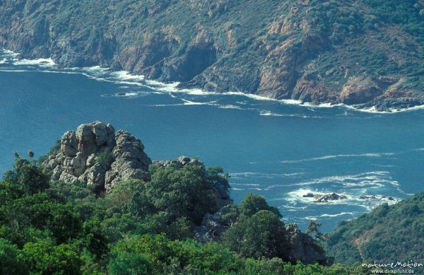 Küste bei Girolata, Korsika, Frankreich