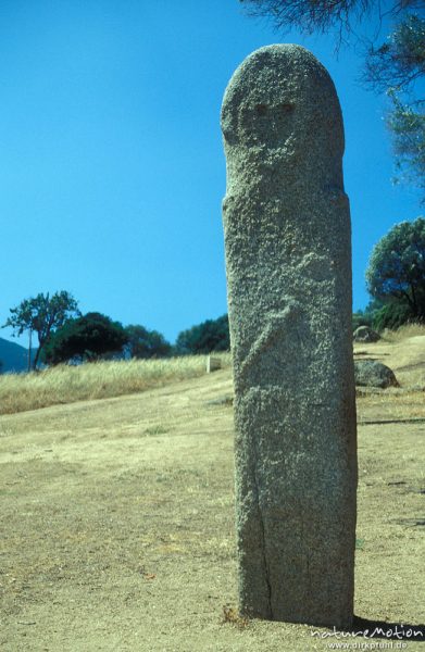 Menhir bei Filitosa, Gesicht, Schwert, Korsika, Frankreich