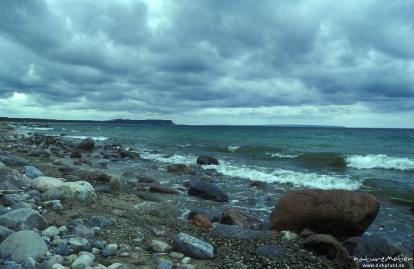 Strand mit Kies und angeschwemmtem Holz, Göhren, Rügen, Rügen, Deutschland