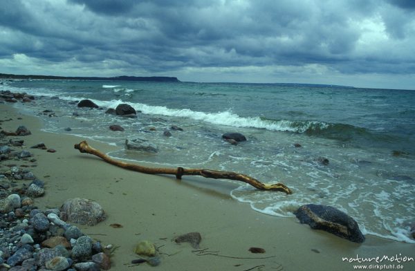 Treibholz, Wolken, Strand, Bucht von Göhren, Rügen, Deutschland